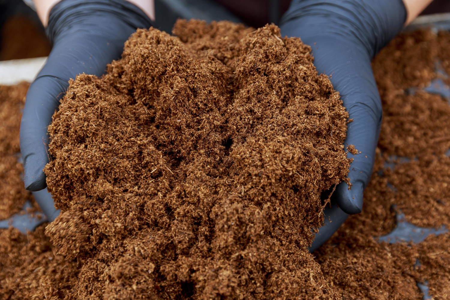 Coco Peat Briquettes
