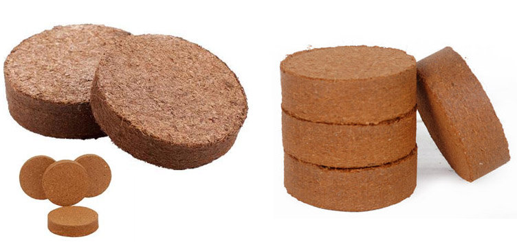 Coco Peat Disc